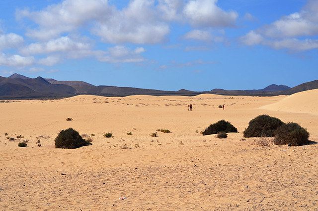 Corralejo dunes, Corralejo, Fuerteventura, Canary Islands