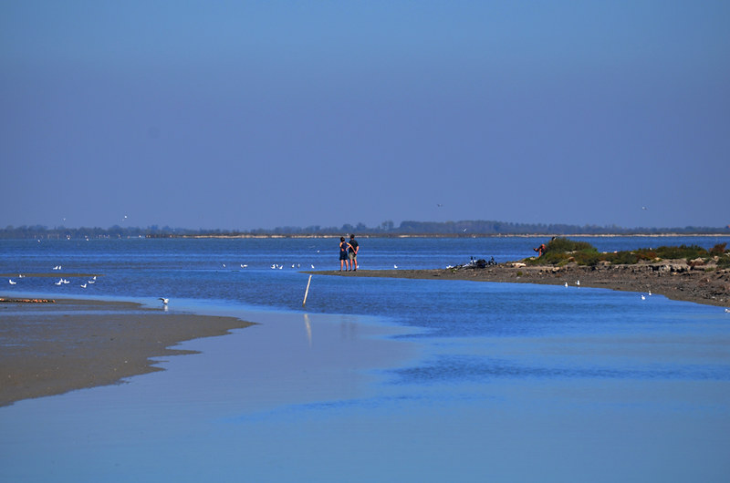 Flat and Wet, Camargue, France