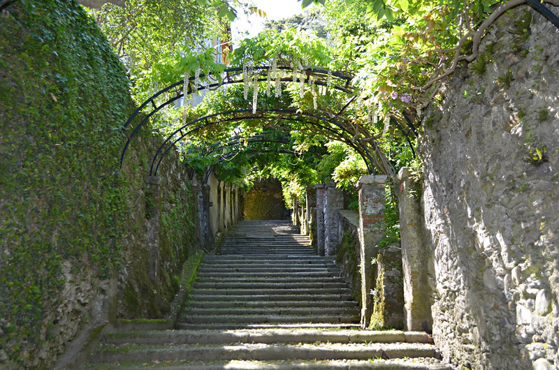 Wisteria stairs, Isola Madre, gardens, Lake Maggiore, Italy