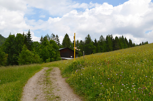 Open path, near Mosern, Austria