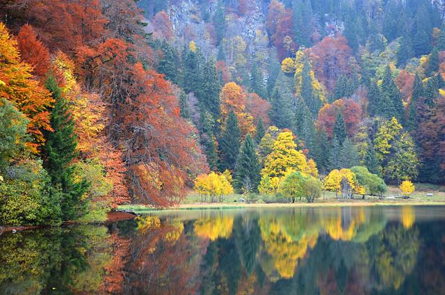 Autumn, Feldsee, Black Forest, Germany