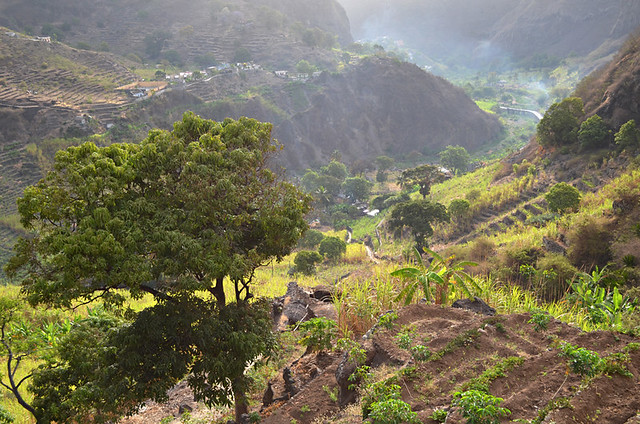 Morning in Ribeira do Paul Valley, Santo Antao, Cape Verde