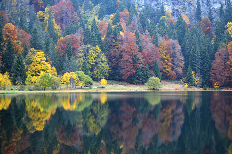 Autumn colours, Feldsee, Black Forest, Germany