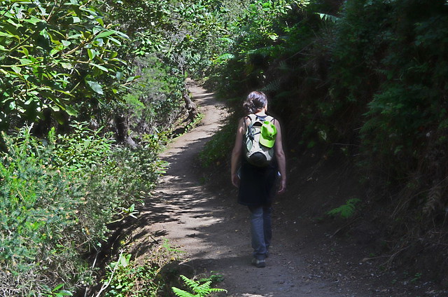 Walking Tenerife