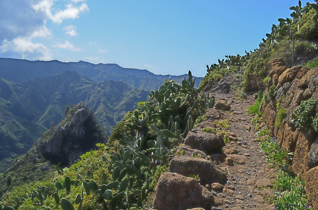 Anaga Mountains, Tenerife