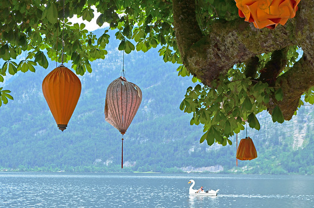 Chinese Lanterns and Swan Boat, Hallstatt, Austria