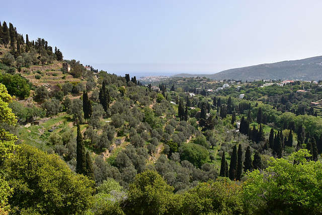 Green scene outside Chora, Andros