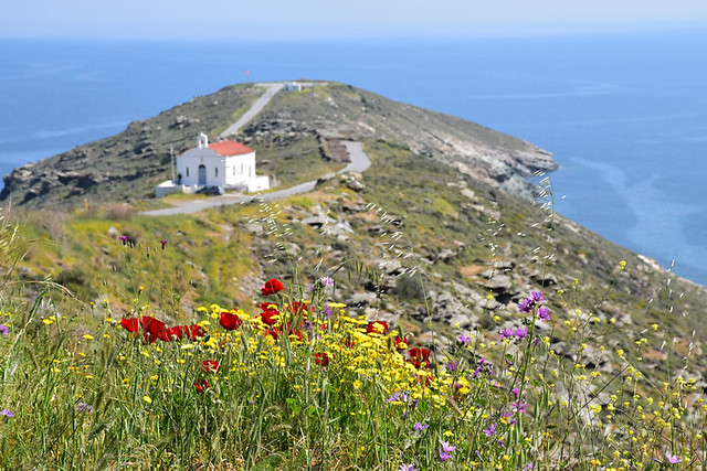 Church and wild flowers, Ormos Korthiu route, Andros