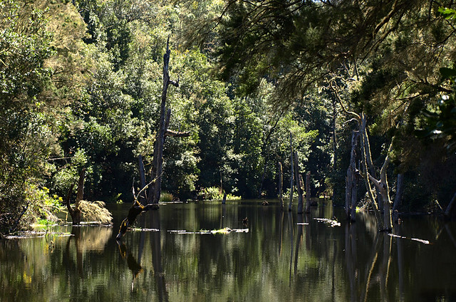 Meriga Dam, La Gomera, Canary Islands