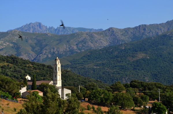 Olmi Cappella, Northern Corsica