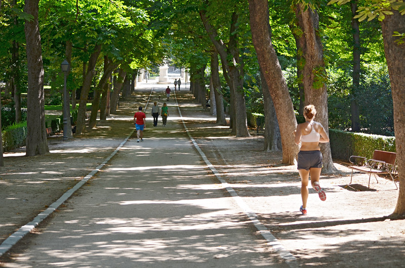 Shaded avenue, Park de El Retiro, Madrid