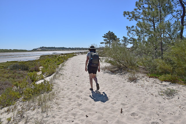 Walking around the inland lagoon, Troia, Portugal