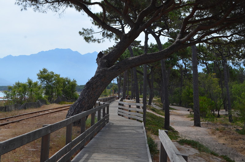 Boardwalk, Calvi, Corsica