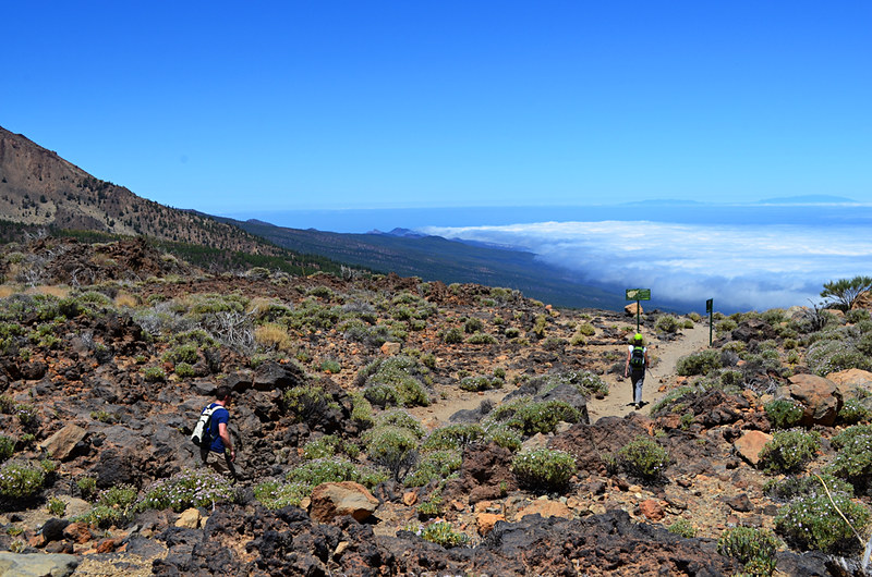 Walking above the clouds, Tenerife