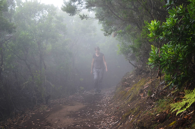 Garajonay, La Gomera, Canary Islands