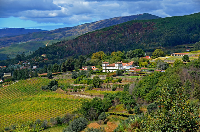 Vale de Lima, Lima Valley, Portugal