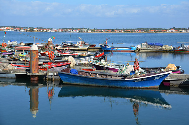 Fishing boats, Aveiro Lagoon, Portugal