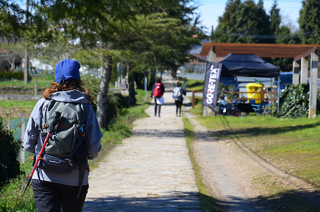 Reaching a checkpoint, Camino de Santiago, Galicia