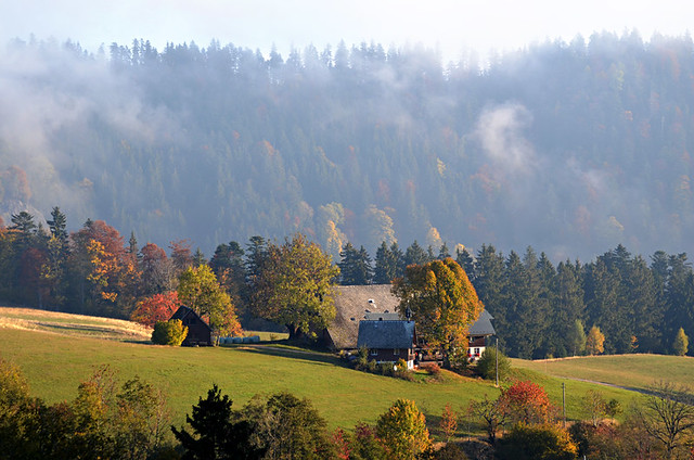 Alpersbach, House in meadow, Black Forest, Germany