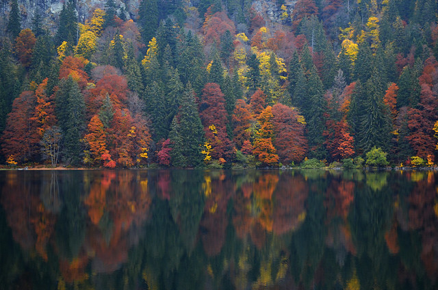 The colourful lake, Black Forest, Germany