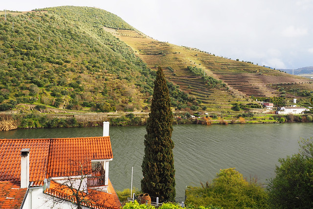 View from room, Quinta de la Rosa, Douro Valley, Portugal