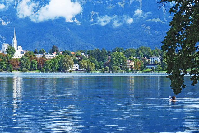 Swimmer, Lake Bled, Slovenia