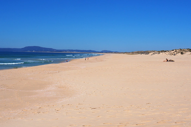 Comporta beach, Alentejo, Portugal