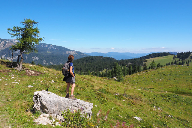 Walking to Velika Planina