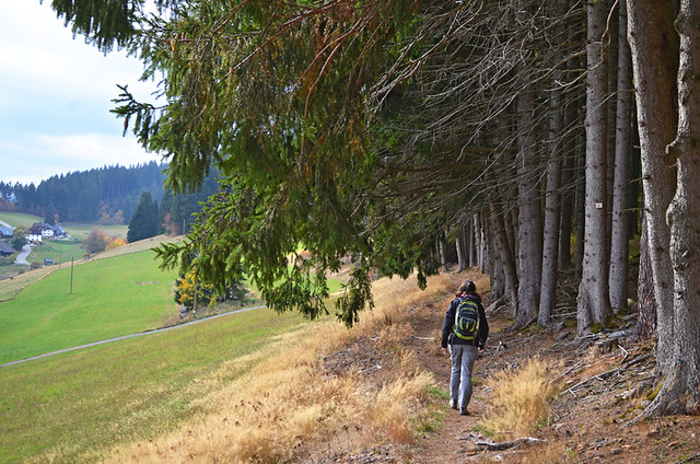 Entering the Black Forest, Germany