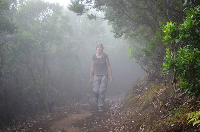 Walking in bruma, La Gomera, Canary Islands