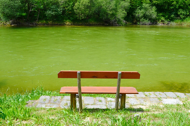 Bench beside river, Austria