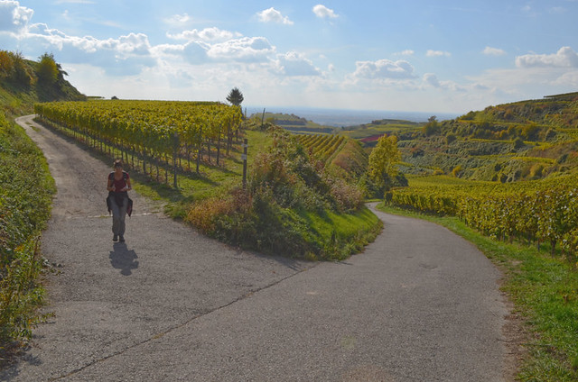 Andy, Kaiserstuhl, Germany