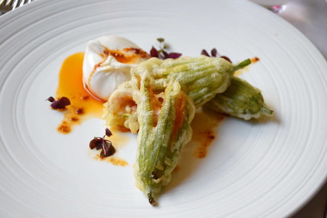 The problem with vegetarian food. Burrata and courgette flower, Verona, Italy