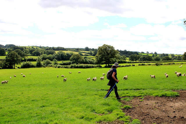 Devon walking