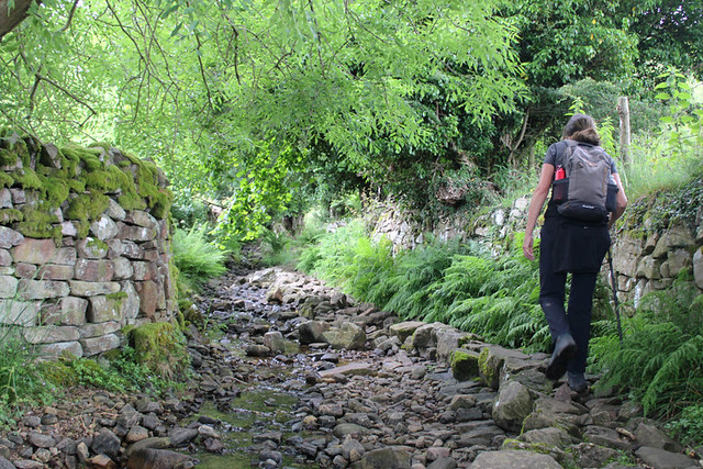 Path in Brecon Beacons, Wales