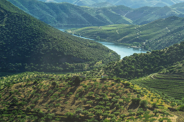 Travel photographs, the Douro Valley, Portugal