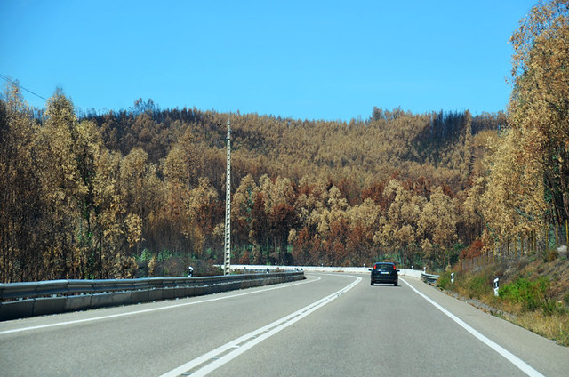 Road through Pedrógão Grande area just after the fire