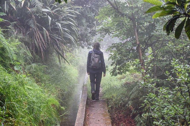 Walking in mist, Madeira
