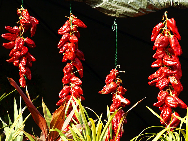 Red chillies drying