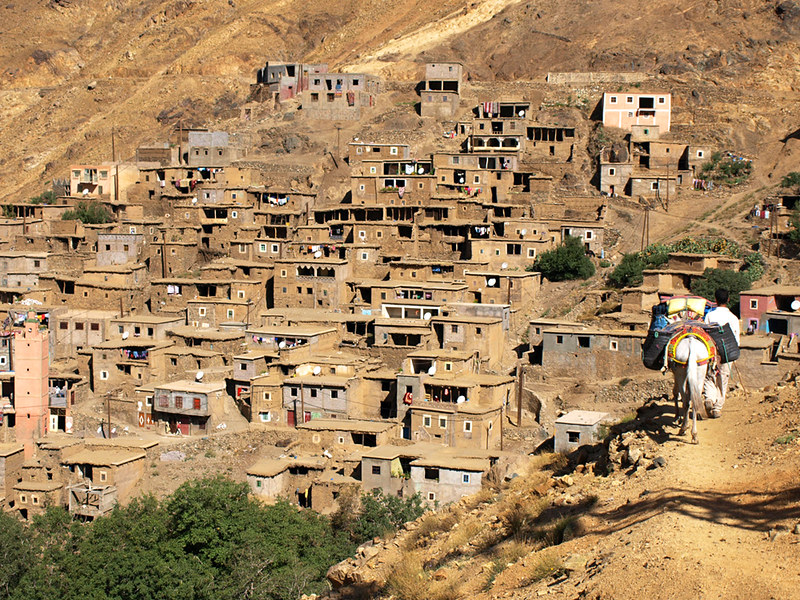 Mule and Berber Village, High Atlas Mountains, Morocco