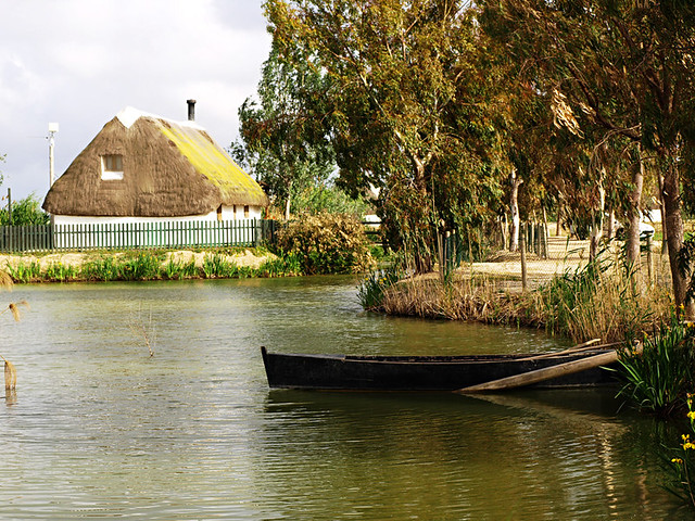 Besides the Rice Fields at the Delta del Ebro, Catalonia