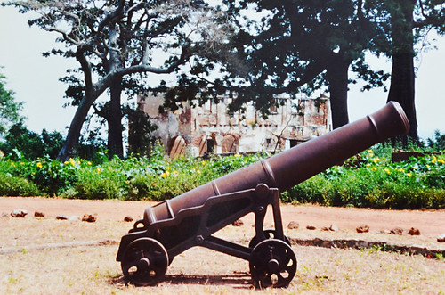 Cannon on The Gambia River