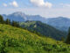 Zweiselalm above Gosausee