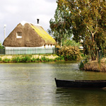 Thatched house on Delta del Ebro